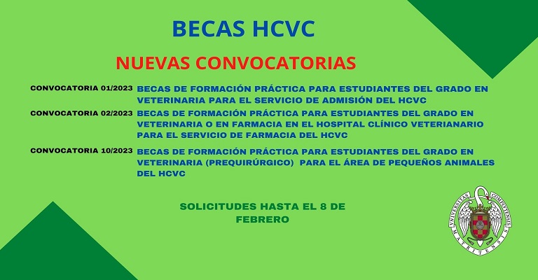 BECAS HCVC